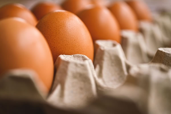 eggs products